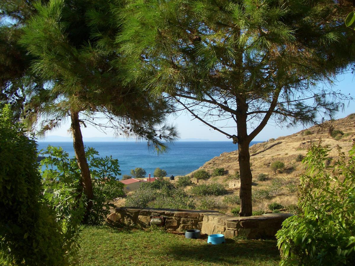 Zorbas Apartments Volissos ภายนอก รูปภาพ
