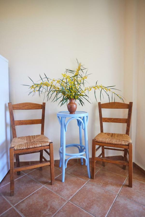 Zorbas Apartments Volissos ภายนอก รูปภาพ