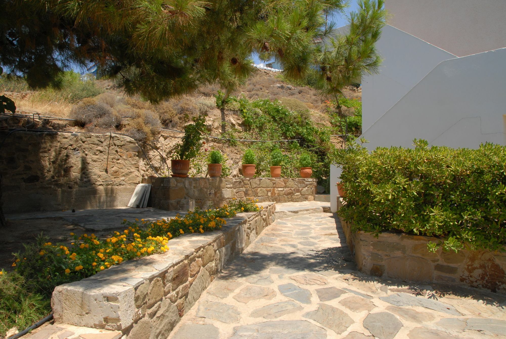 Zorbas Apartments Volissos ภายนอก รูปภาพ